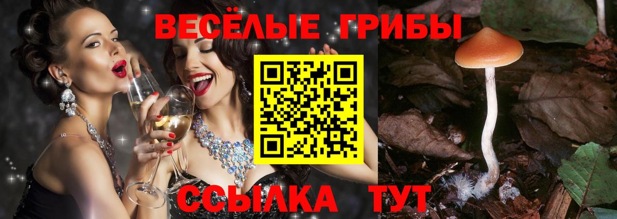 Муром  Псилоцибиновые грибы Psilocybe  Вход с VPN 